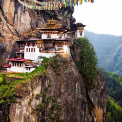 Kerala Best Of South India Hill Stations 7N/8D