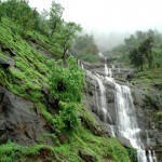 Kerala Best Of South India Hill Stations 7N/8D