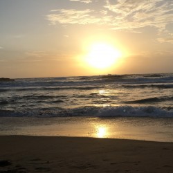 Space Science Tour ( 1D )