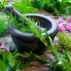 Middle East Organic and Natural Product Expo - Dubai (13 - 15 Dec 2022 )