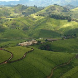 Diverse in Nameri & Kaziranga  6N/7D ( 3N Nameri National Park , 3N Kaziranga )