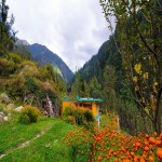 Upto Tirath and Tirthan Valley 7N/8D