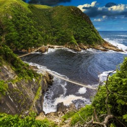 Exciting  South Africa 6N/7D ( 3N Capetown, 1N Pilanesberg, 1N Sun City, 1N Johannesburg )