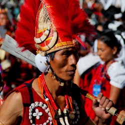 Religio Uganda 7N/8D ( 1N Kampala, 2N Bwindi, 1N Kabale, 2N Mbarara, 1N  Lake Mburo National Park )