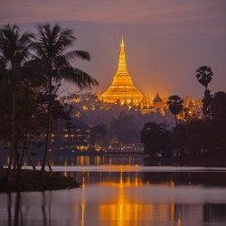 Exotic Uganda 9N/10D ( 1N Entebbe, 2N Kibale National Park, 2N Queen Elizabeth National Park, 1N Ishasha, 2N Bwindi, 1N Lake Mburo National Park ) 