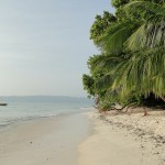 Andaman 6N/7D ( 4N Port Blair  2N Havelock ) 