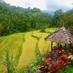 Bali 6N/7D ( 6N Bali ) 