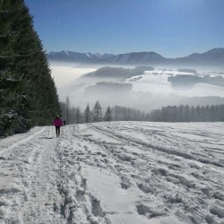  Best Of Switzerland (By Van) 7N/8D ( 3N Lucerne, 2N Interlaken,1N Zermatt, 1N Geneva )