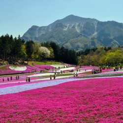 Japan 6N/7D ( 2N Tokyo, 2N Hiroshima, 2N Osaka )