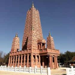 Honourable Mahatma Gandhi 17N/18D