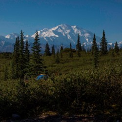 DENALI SAMPLER 4N/5D ( 4N Denali )