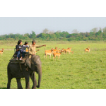 Multi Sport Activity Trip Rajaji National Park 2N/3D