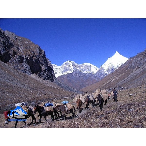  Druk Path Trek 10N/11D