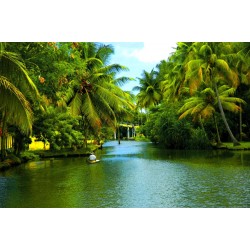 Konkan Diva Fort Trek Near Pune ( 1D )