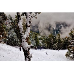  Snow trek Nag tibba 2N/3D