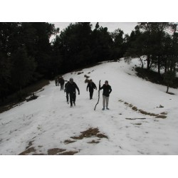  Snow Trek to Dzongri 6N/7D