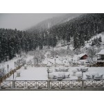  Winter trek to Kuari Pass + Skiing 5N/6D