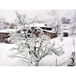  Manali Snow experience 2N/3D