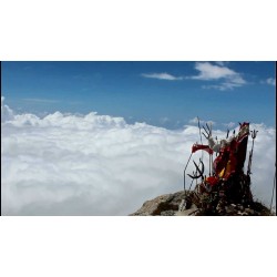  Ladakh - Snow Leopard Trekking 6N/7D