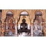 Jain Pilgrimage Tour Aravali Hills Rajasthan 4N/5D