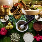 Rasayana Chikitsa Ayurveda Tour 8N/9D