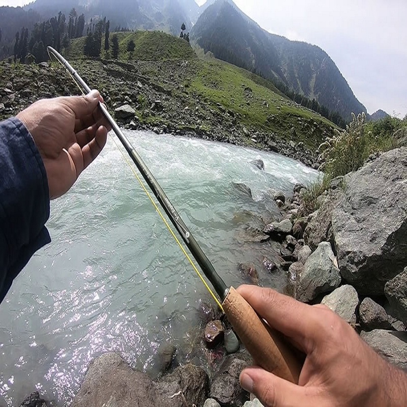 Trout Fishing on Tirthan