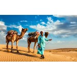 Rajasthan Forts & Palaces Tour ( 3N/4D )