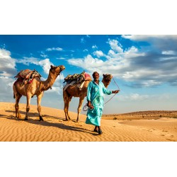 Rajasthan 7N 8D (F.D.)