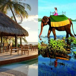 Sri Lanka 4N/5D ( 1N Kandy , 1N Nuwara Eliya, 1N Bentota, 1N Colombo )