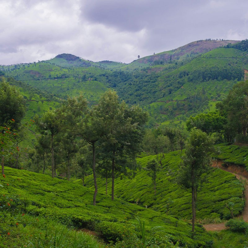 Adventure Backpacking Trip to Nilgiris